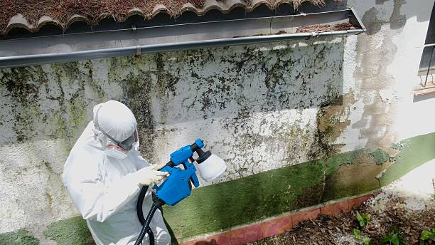 Clearance testing in Westwood